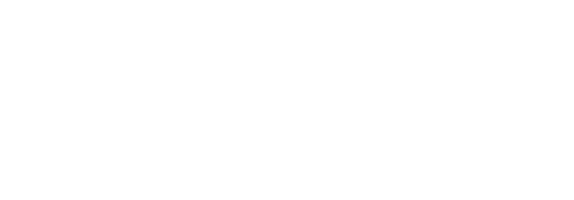 Incident Commander